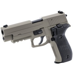 Raven - R226-R (Grey)